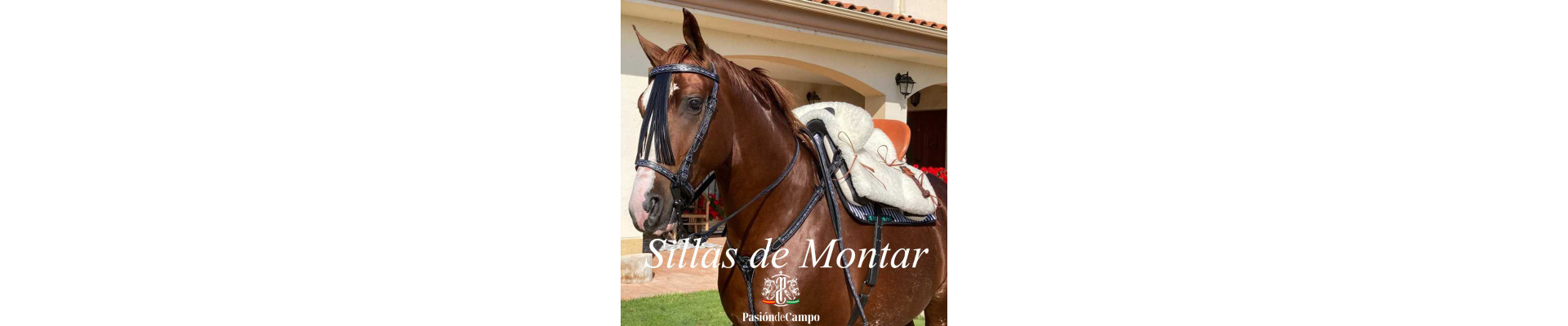 Silla de Montar