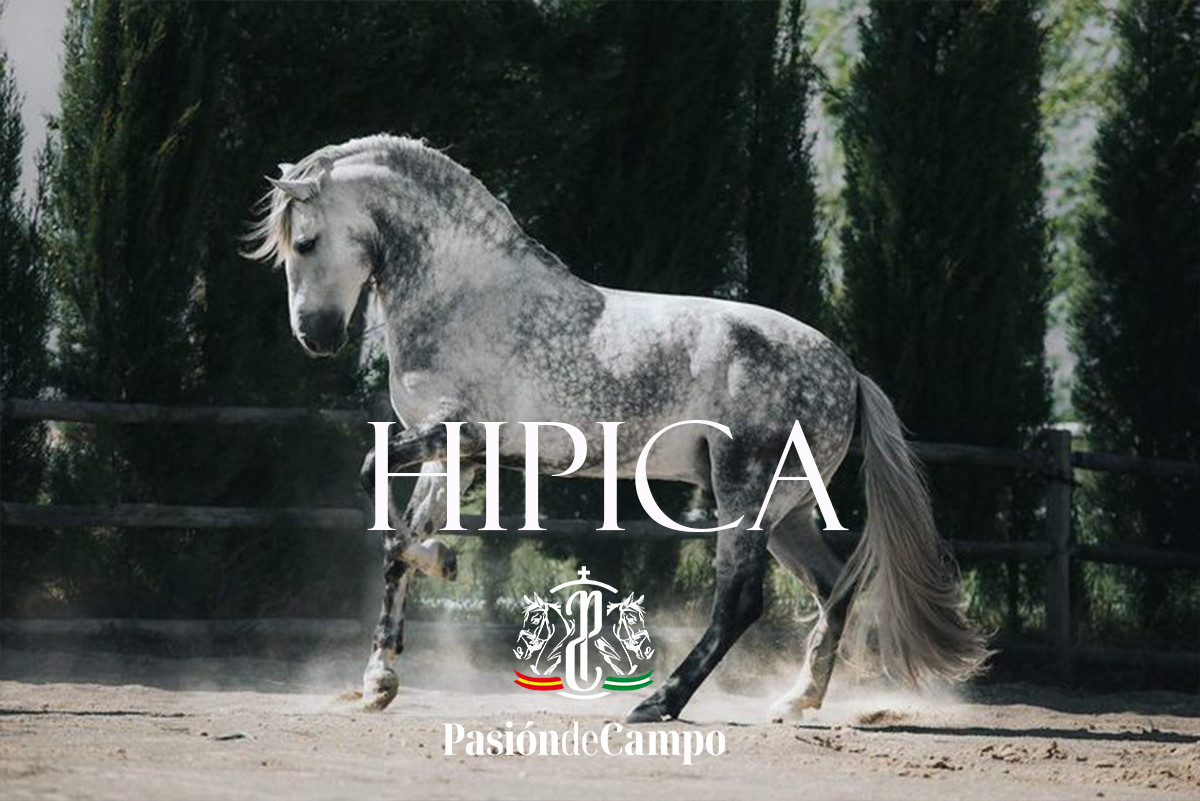 HIPICA