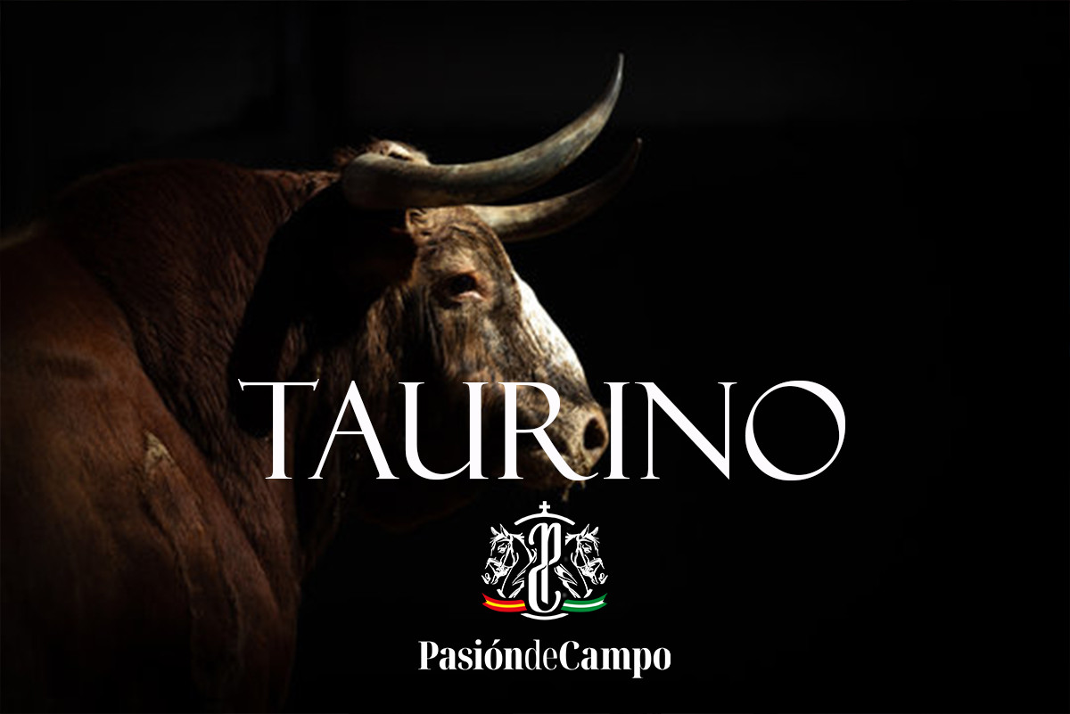 TAURINO