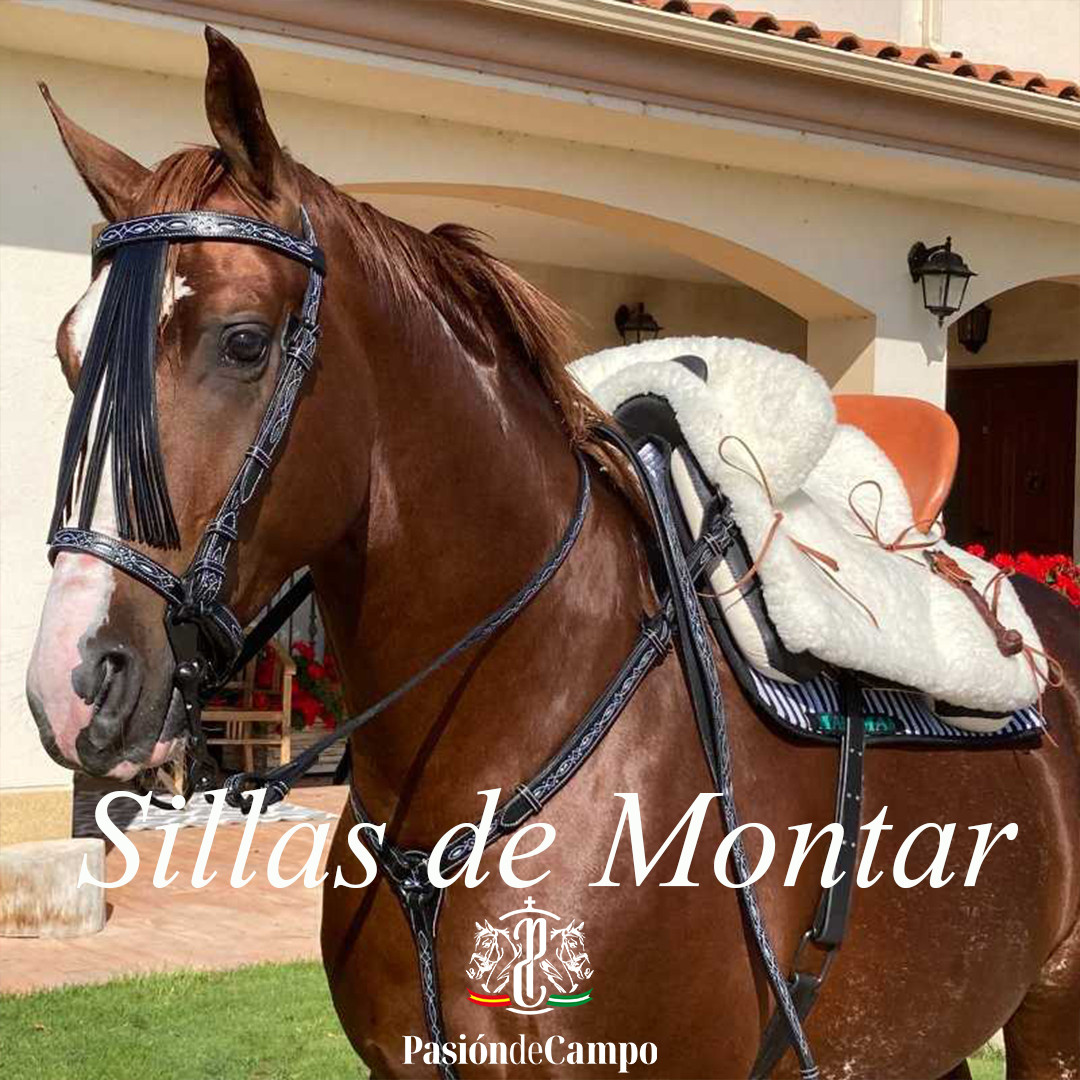 SILLAS DE MONTAR